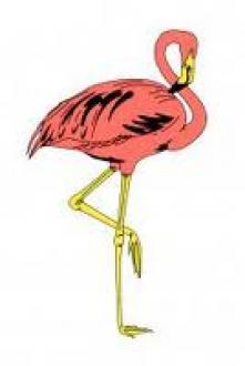 Flamingo Tournooi